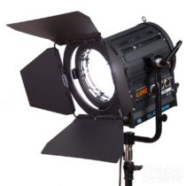 Led Fresnel Spot 100
