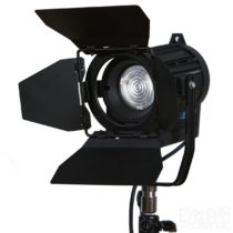 Led Fresnel Spot 20