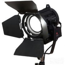 Led Fresnel Spot 50