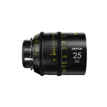 DZOFILM Vespid FF 25mm T2.1 – PL&EF mount